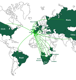 Mapa Exportação